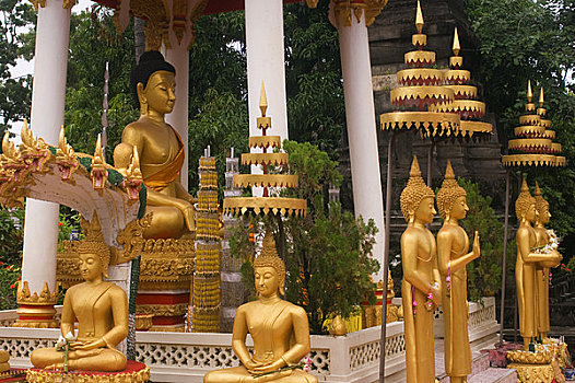 老挝,万象,桶,佛像,供品