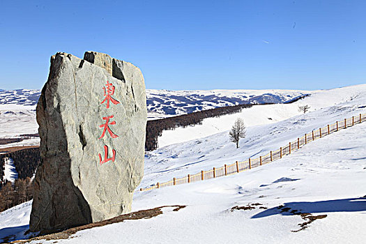 天山雪韵