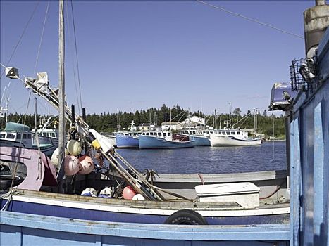 船,港口,新斯科舍省,加拿大
