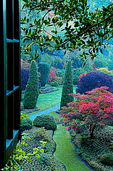 窗户,打开,彩色,宝翠花园,温哥华岛,不列颠哥伦比亚省,加拿大