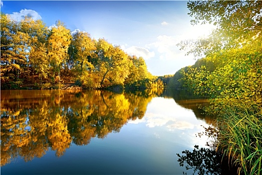 彩色,秋天,河