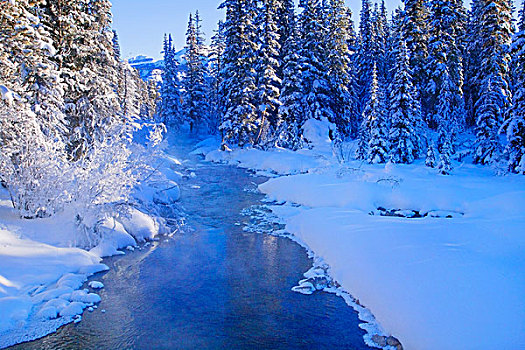 冬日奇景,班芙,艾伯塔省,加拿大