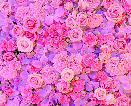 粉花,背景,玫瑰,康乃馨,兰花