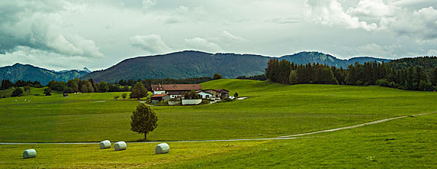 瑞士田园美景