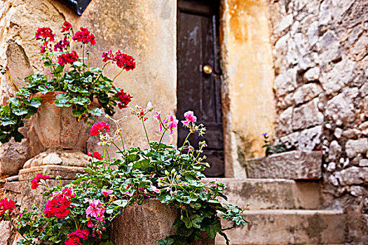 盆花,线条,入口,家,古老,埃兹,普罗旺斯,法国