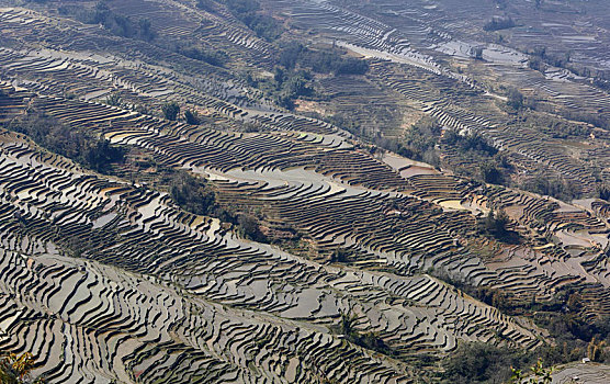 云南红河州元阳梯田自然景观