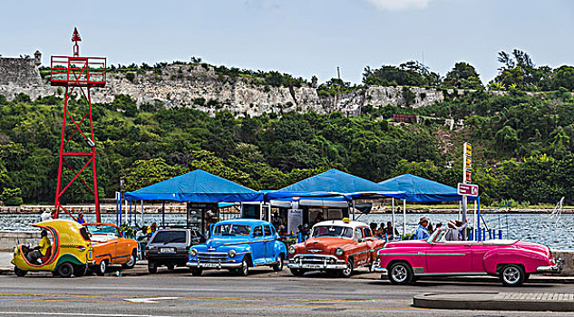 四个,色彩,古典,汽车,50多岁,等待,侧面,马雷贡,海洋,公路,哈瓦那