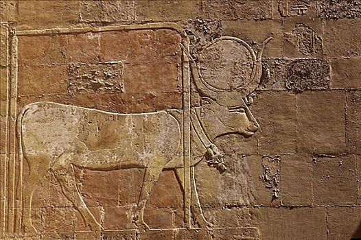 象形文字,遗址,埃及,北非