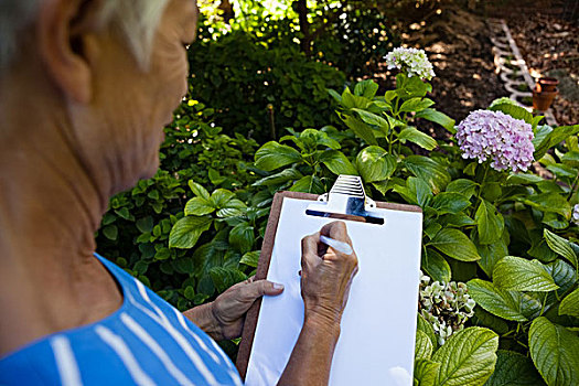 腹部,老年,女人,文字,写字板,植物,后院