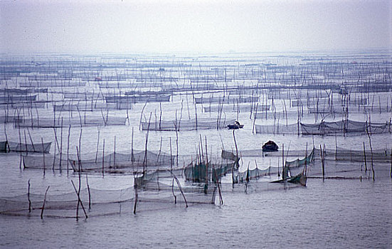 山东东平湖湿地