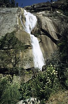瀑布,攀升,水牛,国家公园,维多利亚