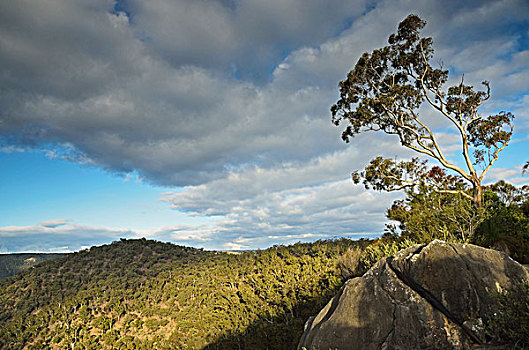 自然荒野区,国家公园,新南威尔士,澳大利亚