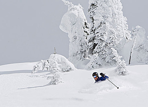 滑雪,深,粉末,白鲑,蒙大拿