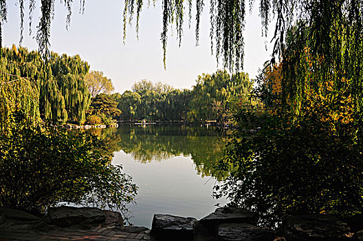 平和,水塘,反射,树,北京,中国