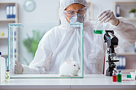 科学家,动物,实验,实验室,兔子
