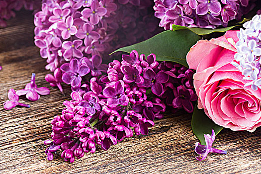 紫色,丁香,花,粉色,玫瑰,木桌子,特写