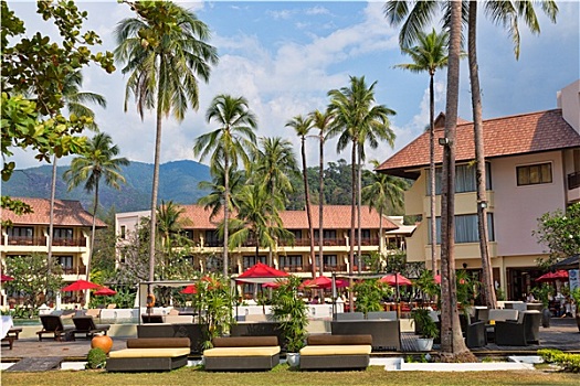 热带,酒店,棕榈树