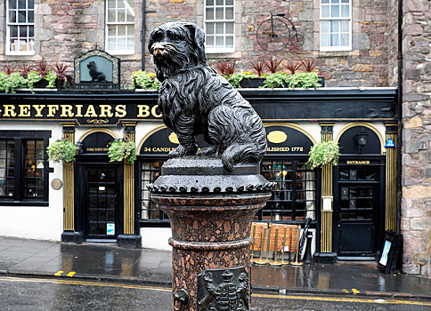狗,雕塑,爱丁堡,苏格兰,英国,欧洲
