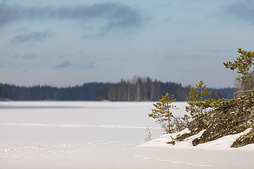 芬兰,冬天,雪,石头,湖