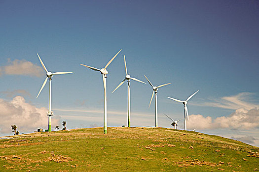 努伊,风电场,靠近,北岛,新西兰