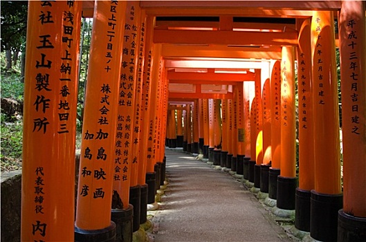 大门,稻成,神祠,京都