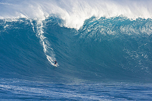 夏威夷,毛伊岛,颚部,冲浪,巨大,波浪