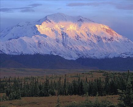 高山辉,德纳里峰,麦金利山,德纳里峰国家公园,保存,阿拉斯加