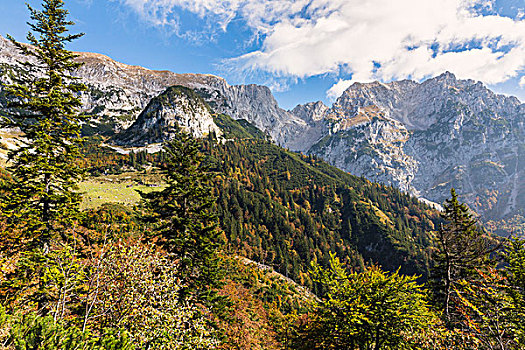 风景,徒步旅行,秋天,山,提洛尔,奥地利