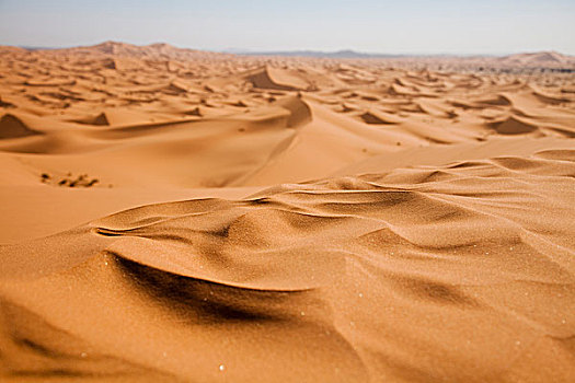撒哈拉沙漠,梅如卡
