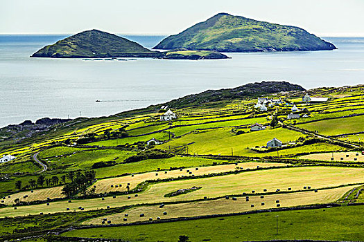 景色,沿岸,风景,克俐环,凯瑞郡,爱尔兰