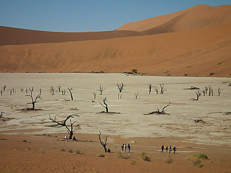 非洲纳米比亚风景