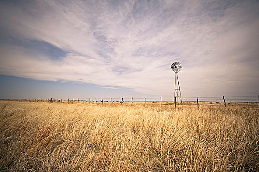 高草,土地,风轮机,栅栏,德克萨斯,美国