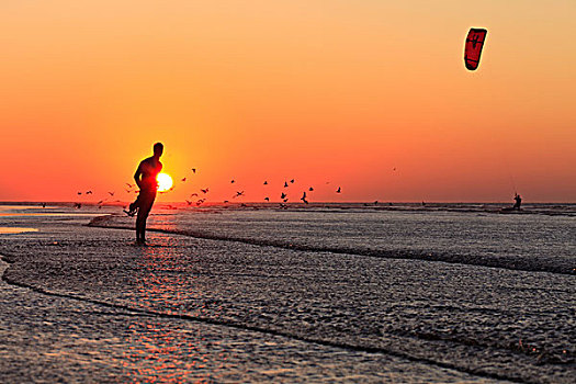 一个,男人,海滩,苏维拉,看,风筝冲浪手,日落,摩洛哥,非洲