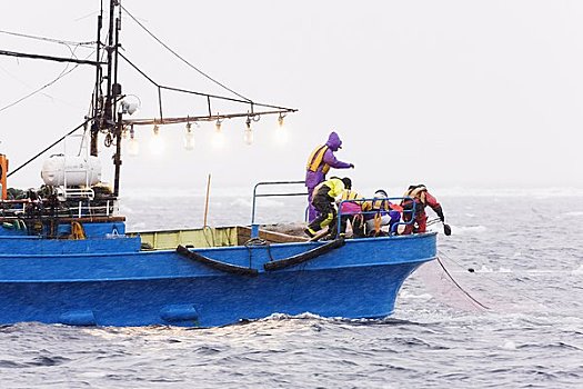 捕鱼者,根室海峡,知床半岛,北海道,日本