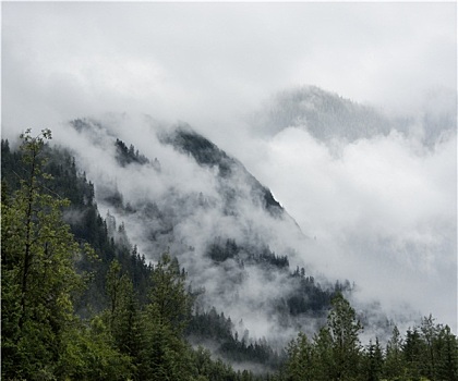 雾气,山