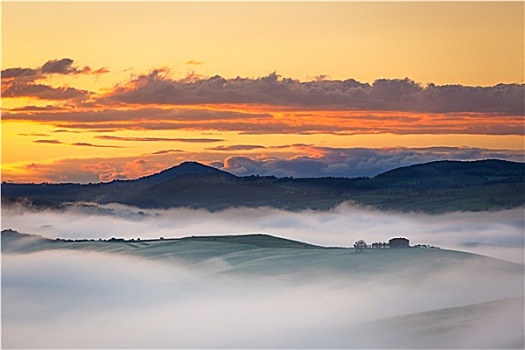 农舍,靠近,雾状,黎明,托斯卡纳,意大利