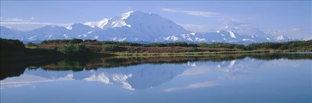 山,德纳里峰,反射,苔原,水塘,德纳利国家公园和自然保护区,阿拉斯加