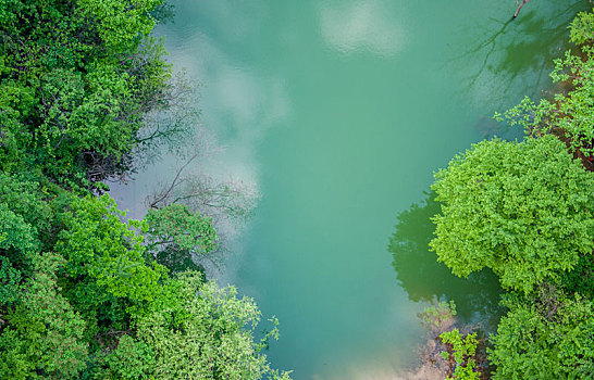 航拍视角湖泊岸边的水和树木