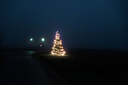 光亮,圣诞树