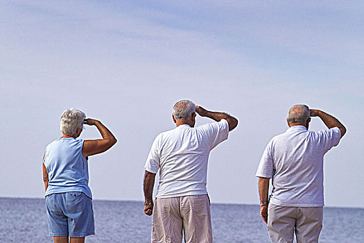 老人,手势,海洋,注视,后面,特写,50-60岁,退休老人,旅游,朋友,男人,女人,站立,并排,风景,远景,地平线,好奇,看,度假,休闲,方向,复原,放松,夏天