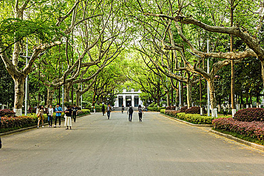 南京大学