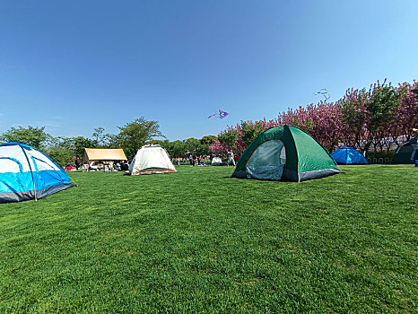 露营,帐篷,樱花小镇