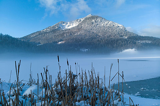 冬季风景,雾气,上方,巴伐利亚,德国