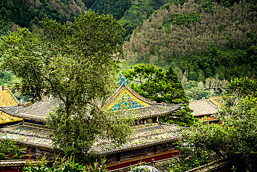 五台山景色