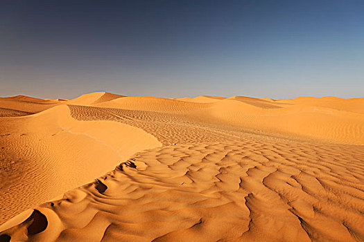 沙漠,风景,撒哈拉沙漠,靠近,突尼斯,北非,非洲