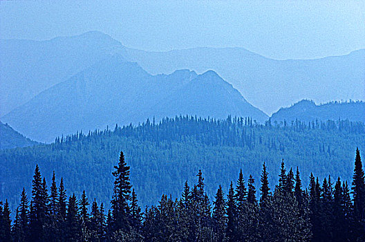 航拍,国家公园,自然保护区,加拿大西北地区,加拿大