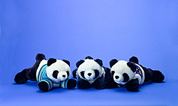 中国,熊猫,泰迪熊