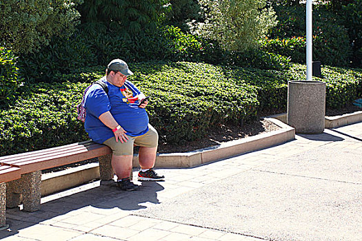 美国人,肥胖,胖子,男人,男性,坐,公园,看手机