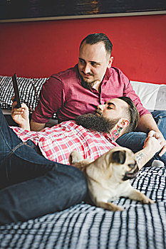同性恋,情侣,狗,智能手机,卧室
