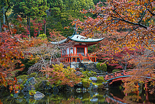 公园,秋天,传统,日本寺庙,建造,岩石上,湖,桥,树